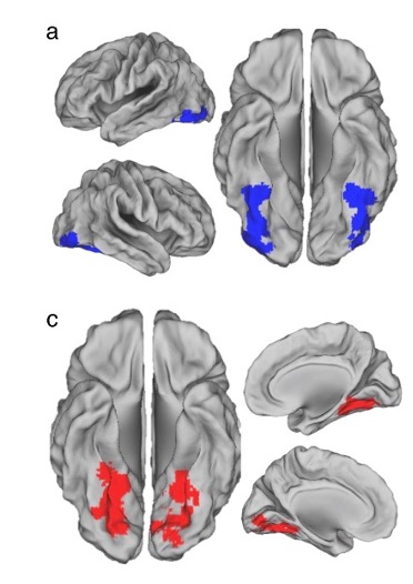 Experimental Design from Dunovan & Wheeler (2018)
